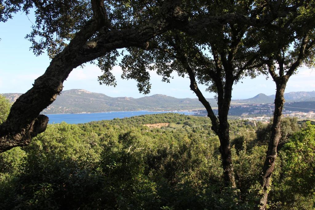 Hotel Les Hauts De Porto-Vecchio Номер фото